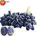 foto PLAT FIRM SEMI PLAT AZIENDA-1 Professional Service Pack, 100 semi/pacchetto, Wild Red semi d'uva Hardy dolce frutto piantine Piante # NF466