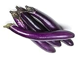 Eggplant Seeds for Planting Vegetables and Fruits(Ping Tung Long Purple Eggplant)for Home Vegetable Garden.Non GMO Heirloom Garden Seeds for Planting Vegetables-50 Ping Tung Long Veggie Seeds屏东茄 photo / $1.97 ($0.00 / Count)